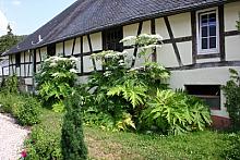 G�stehaus