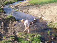 100_0552.JPG (1533886 Byte)