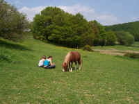 100_1038.JPG (1302989 Byte)