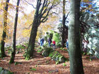 100_1578.JPG (1731375 Byte)