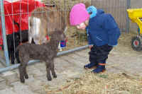 100_3054.JPG (1678095 Byte)