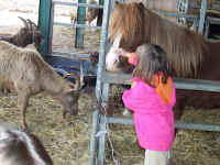 100_3283.JPG (1101566 Byte)