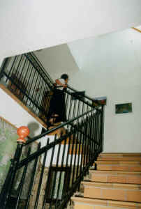 heuher1.jpg (86275 Byte)