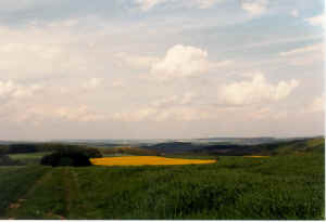 n10.jpg (58875 Byte)