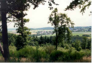 n17.jpg (120932 Byte)