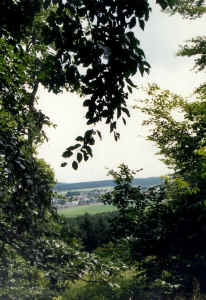 n20.jpg (114718 Byte)