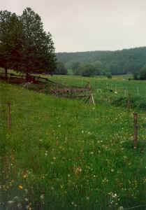 n25.jpg (83838 Byte)
