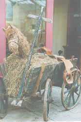 bild3.jpg (59546 Byte)