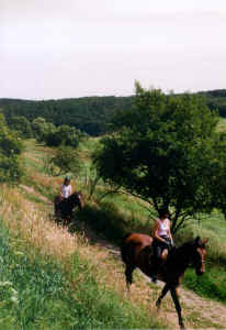 reiten10.jpg (152875 Byte)