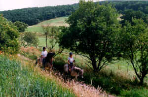 reiten5.jpg (240417 Byte)