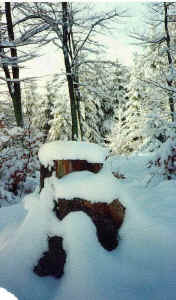 b14.jpg (96250 Byte)