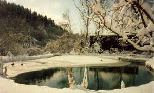 b17.jpg (98193 Byte)