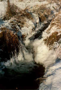 b4.jpg (105884 Byte)