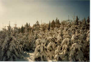 b52.jpg (102354 Byte)