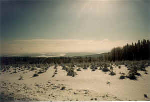 b55.jpg (70452 Byte)