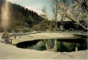 b65.jpg (109766 Byte)
